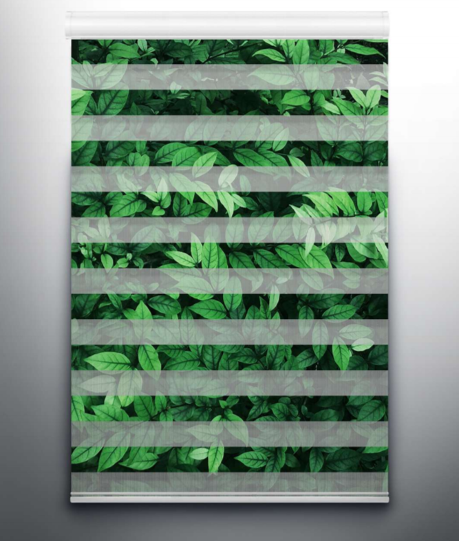 Leaf Digital Blinds