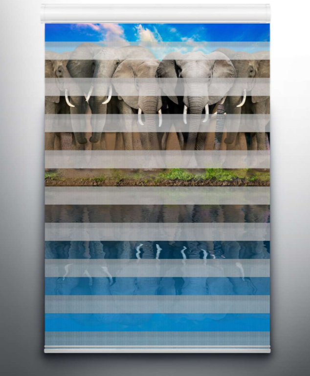 Elephants Digital Blinds